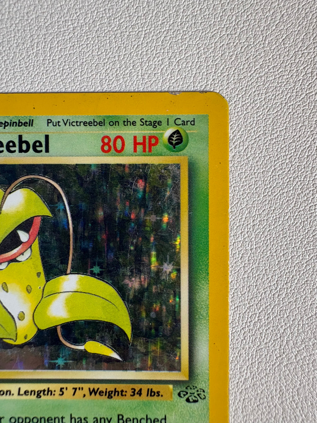 Pokémon TCG Victreebel Holo Rare Card 14/64 Jungle Set 1999 WOTC LP Condition