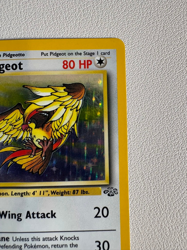 Pidgeot Holo Foil Rare Card 8/64 WOTC Jungle Unlimited 1999 NM-LP