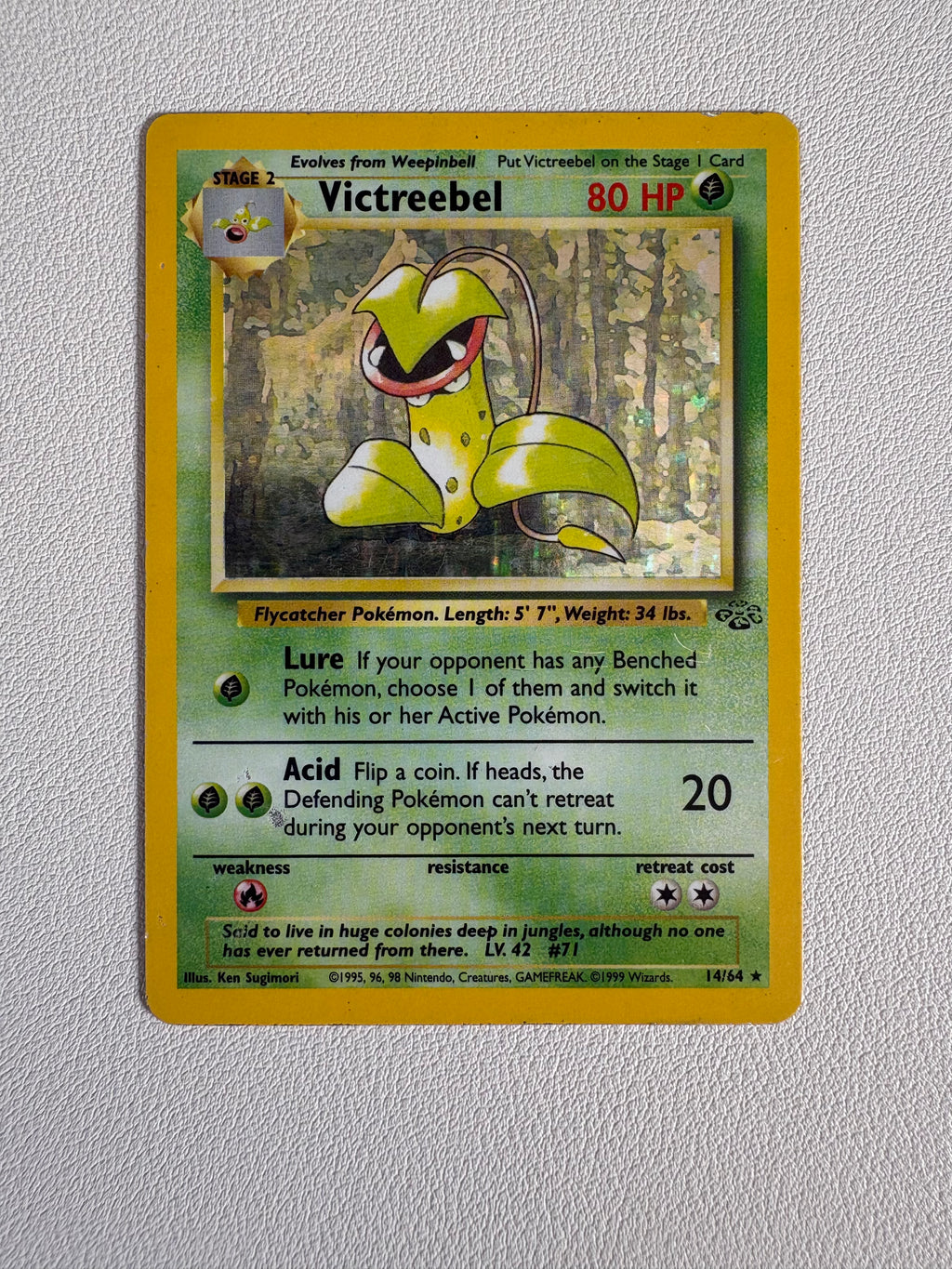 Pokémon TCG Victreebel Holo Rare Card 14/64 Jungle Set 1999 WOTC LP Condition