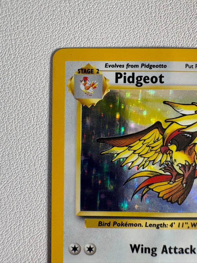 Pidgeot Holo Foil Rare Card 8/64 WOTC Jungle Unlimited 1999 NM-LP
